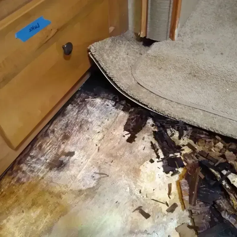 Best Wood Floor Water Damage Service in Beavercreek, OR